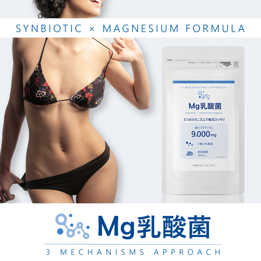Mg乳酸菌（３個セット）